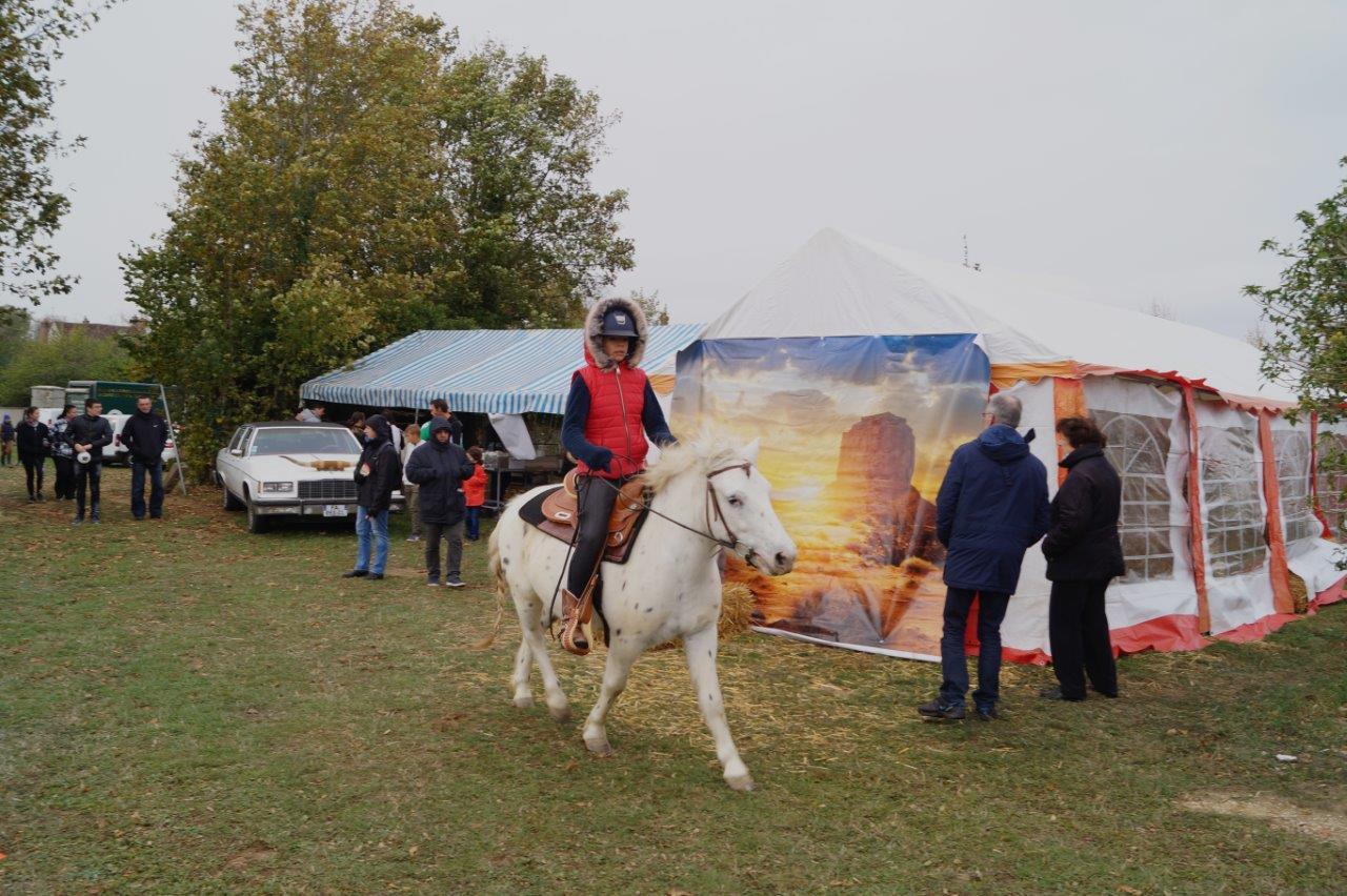 Emy Reining Horses...