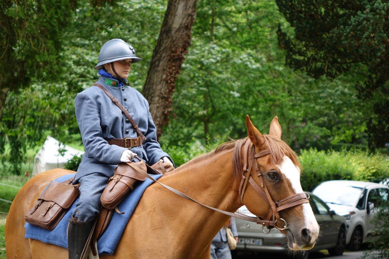 Les chevaux, qui travaillaient pour la plupart d'entre eux dans les campagnes, ont été réquisitionnés lors de la Grande Guerre.