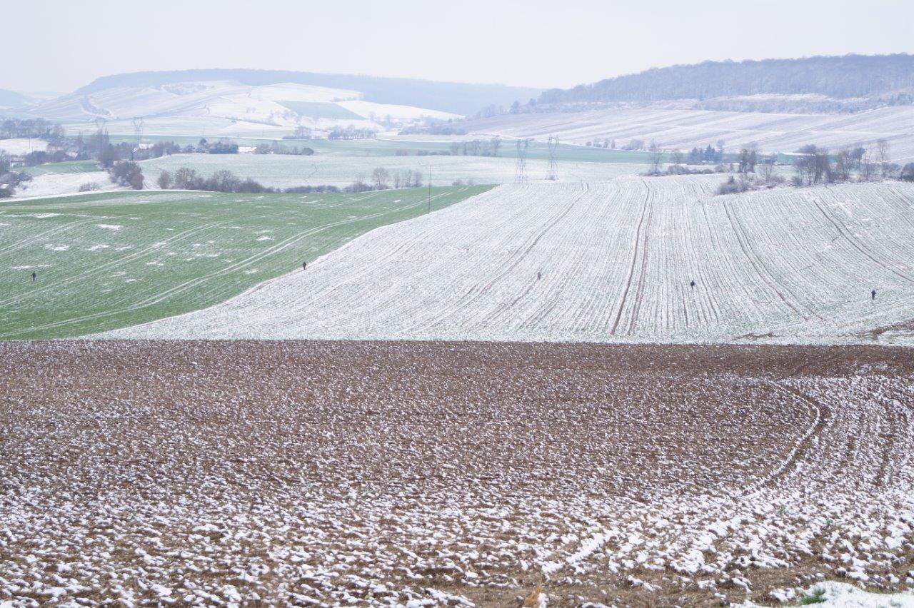 La ligne de rabatteurs lors du comptage à Baulne-en-Brie, commune de Vallées-en-Champagne...