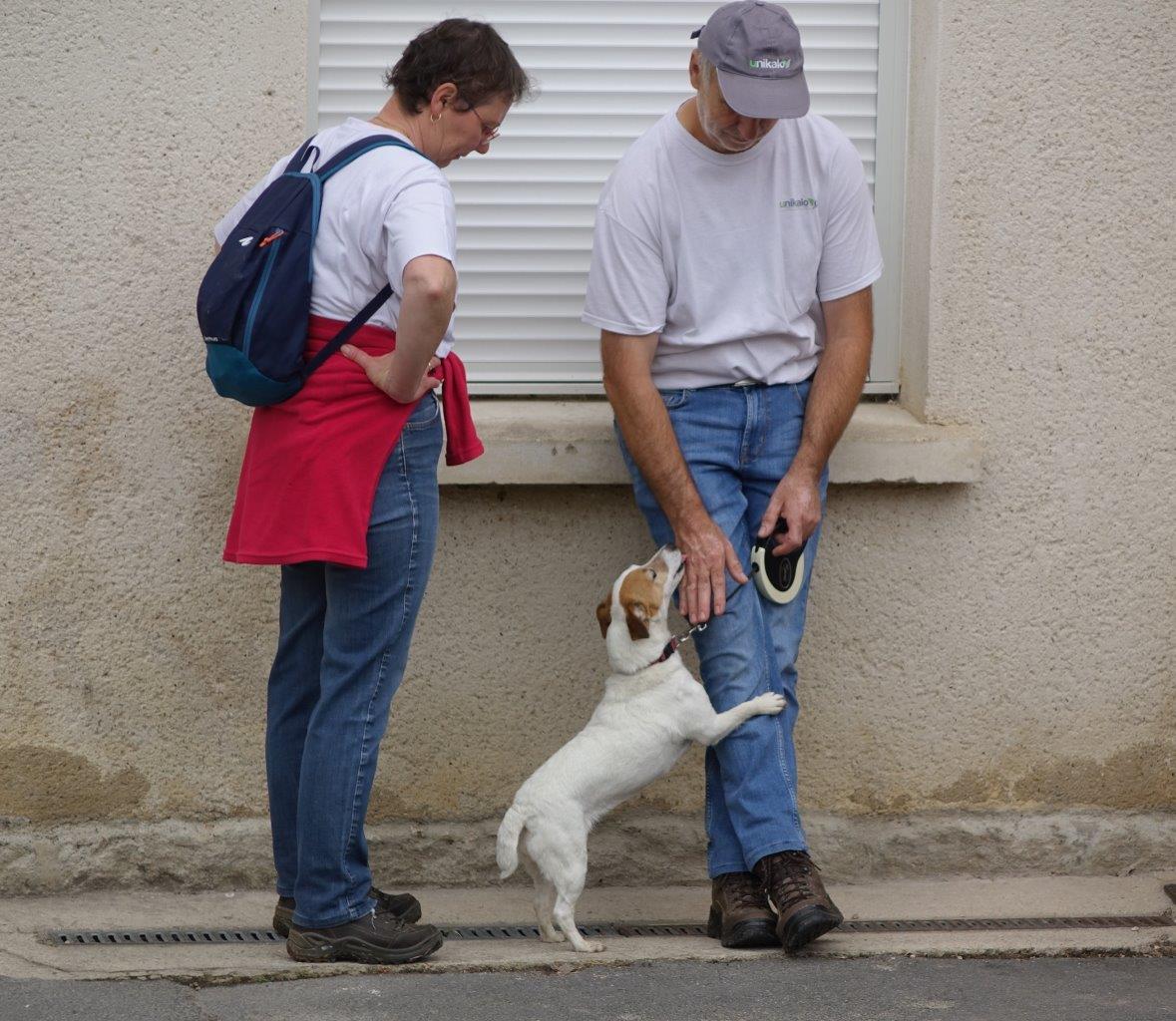 Deux chiens ont également participé à la randonnée pédestre...
