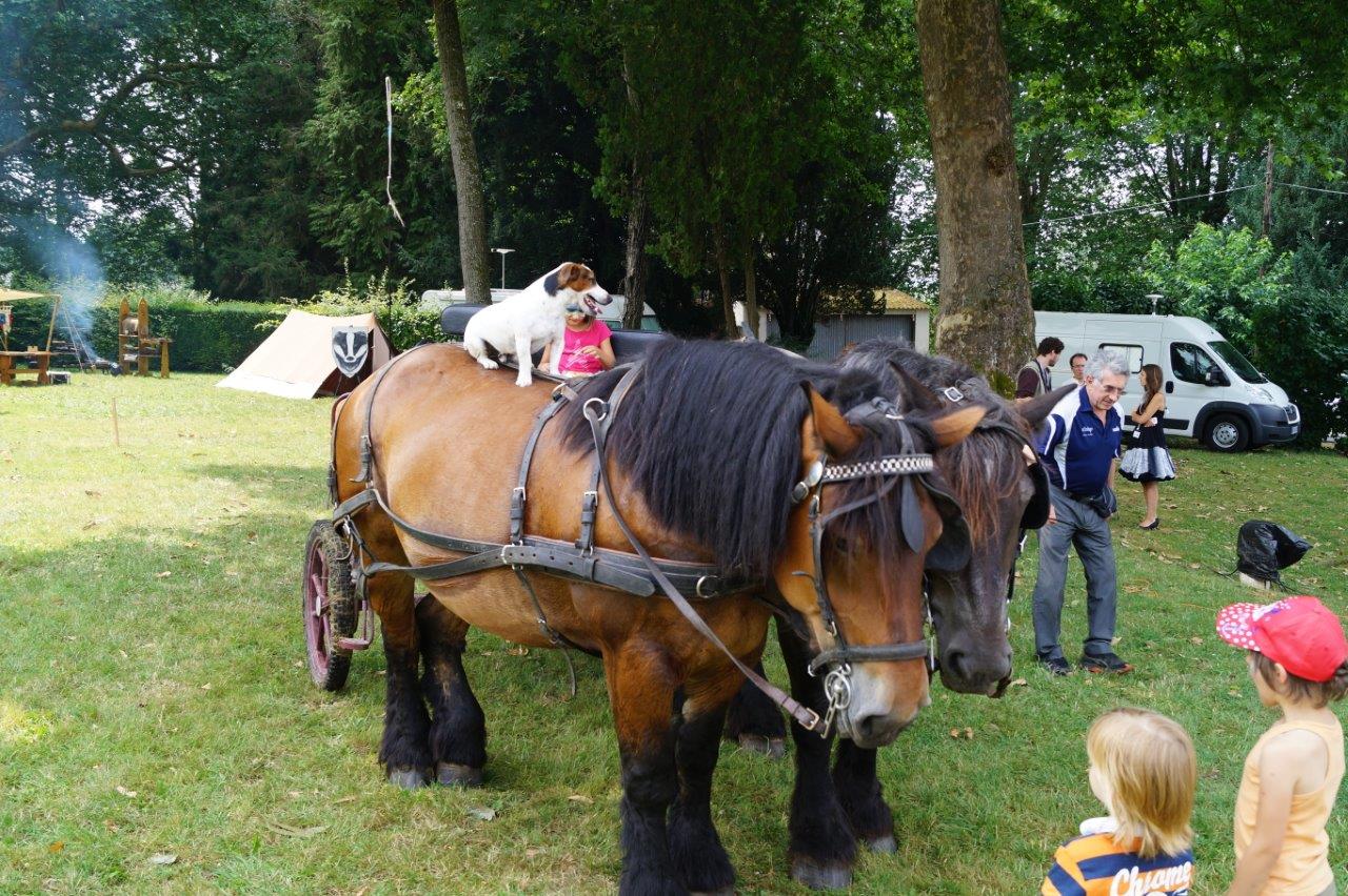 Hue dadas ! La découverte du parc verdoyant du château en char à bancs Champ' A Cheval rencontre le succès...