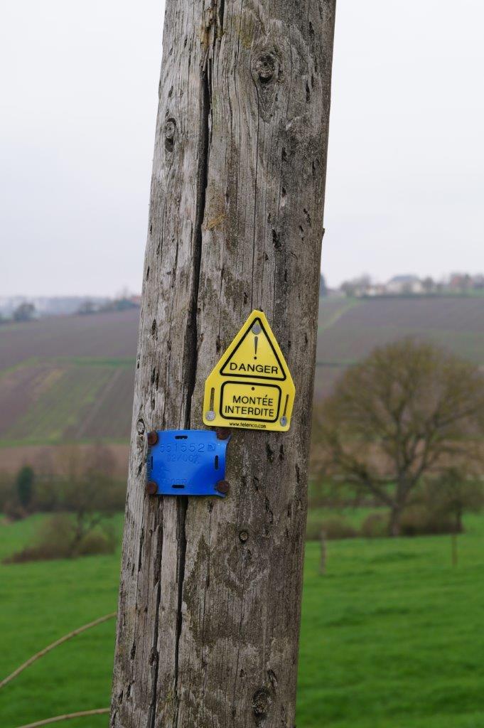 Une signalétique informant d'un danger est clouée sur le poteau.