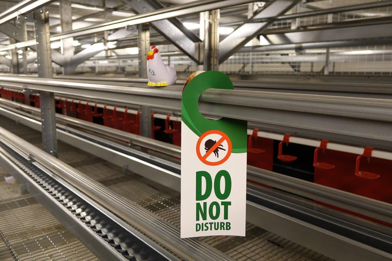 Le fabricant néerlandais Vencomatic a mis au point des barrières faiblement électrifiées pour protéger les poules de certains parasites, en particulier des poux rouges..