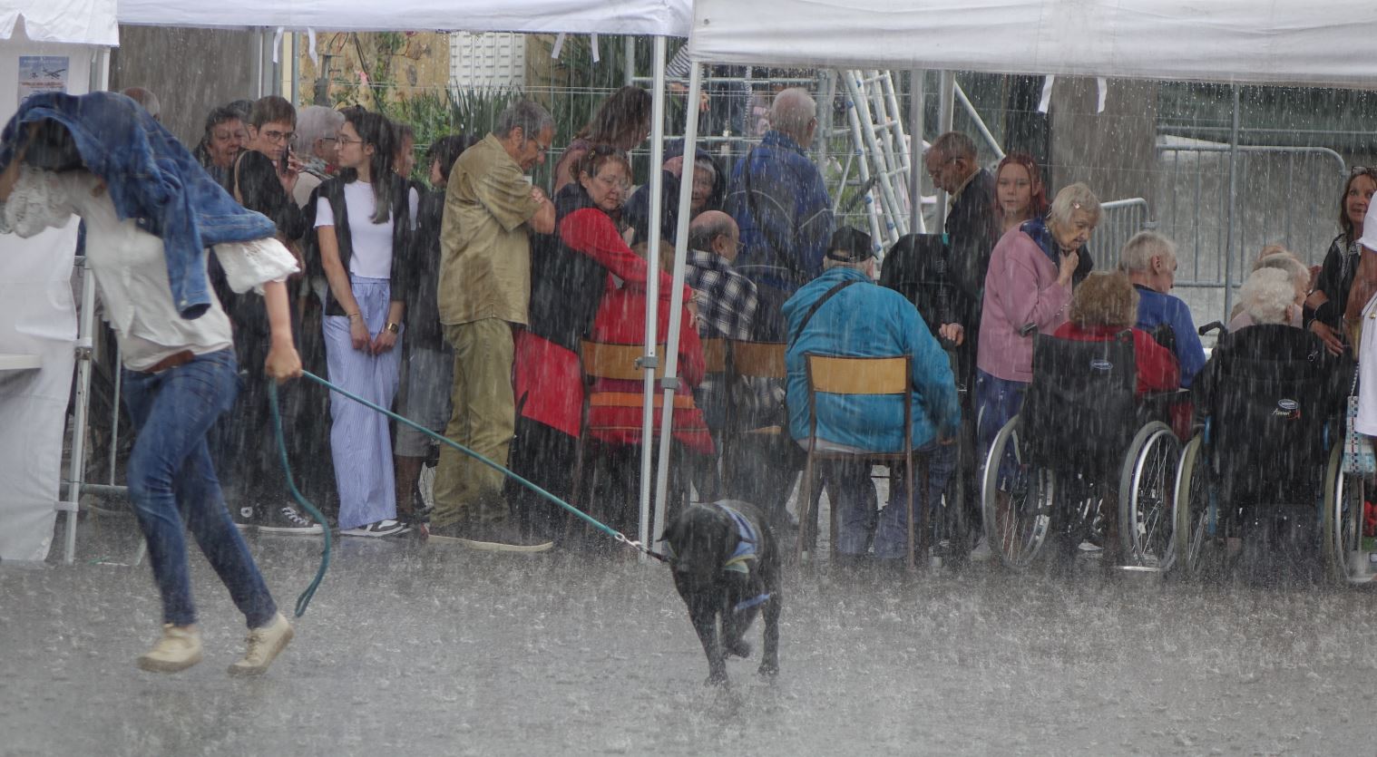 Il fait un temps à ne pas mettre un chien dehors. Du coup, la mascotte des EHPAD fonce se mettre à l'abri !