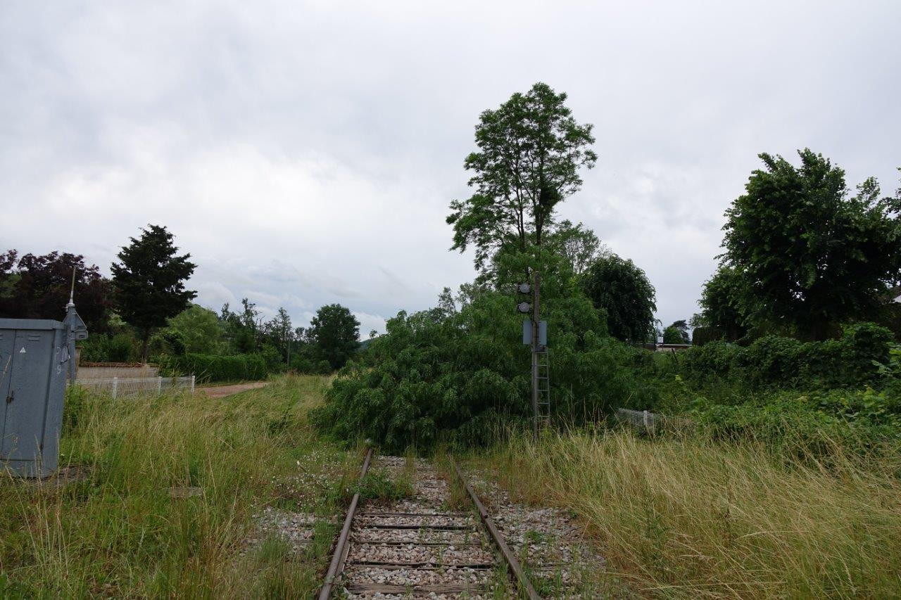 Un arbre de l'école élementaire de Condé-en-Brie est tombée sur la voie ferrée 22².