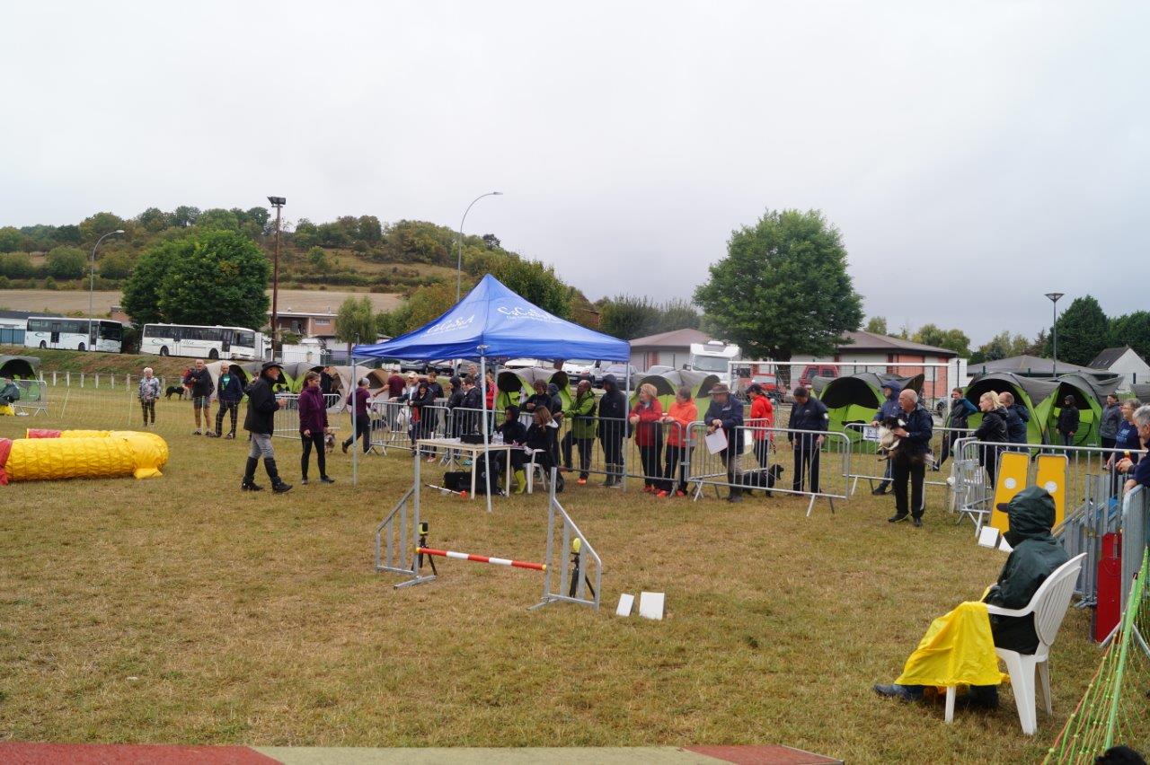 Les concurrents du concours d'agility sont plus nombreux que les spectateurs.