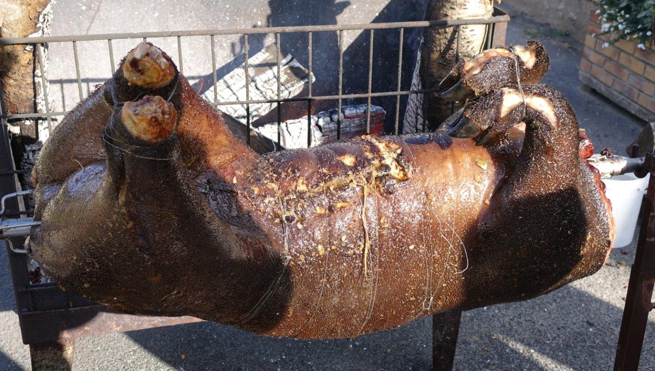 Le porc noir Gascon a été l'attraction du moment.