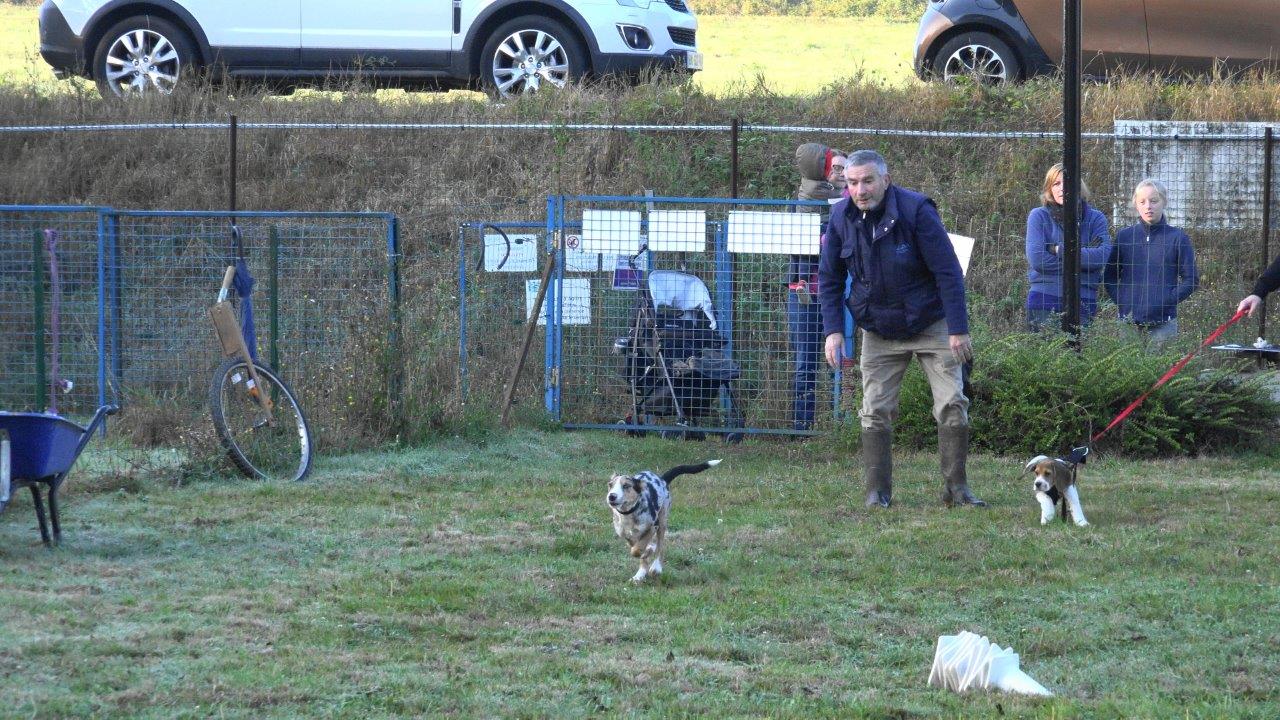 A l'atelier "Rappel" : Christian Roux, président du Club Canin du Sud de l'Aisne.
