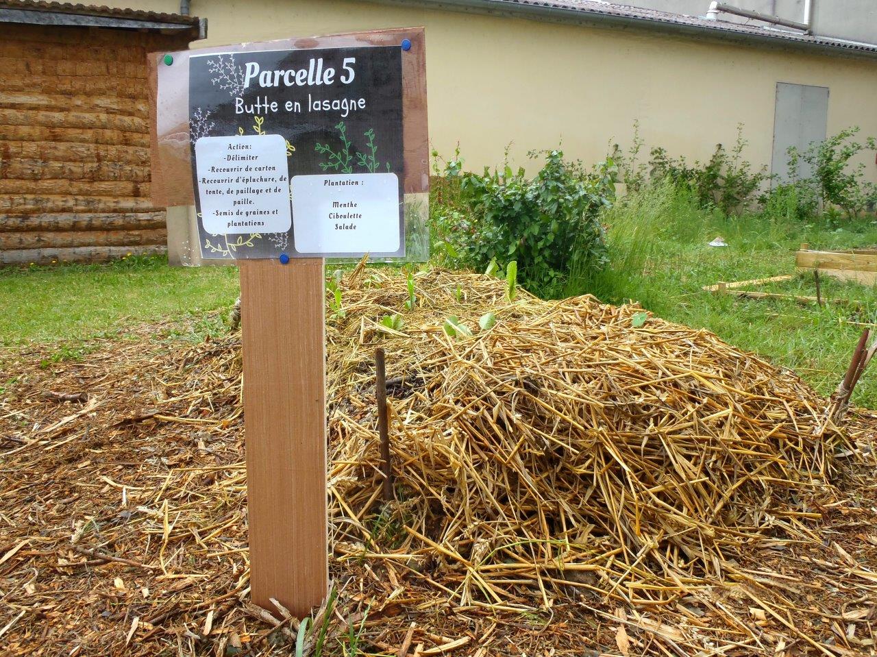 La butte en lasagne est créée à partir de déchets : carton brun détrempé, épluchures, broyat, tonte de pelouse, compost et paille, plantations et arrosage.