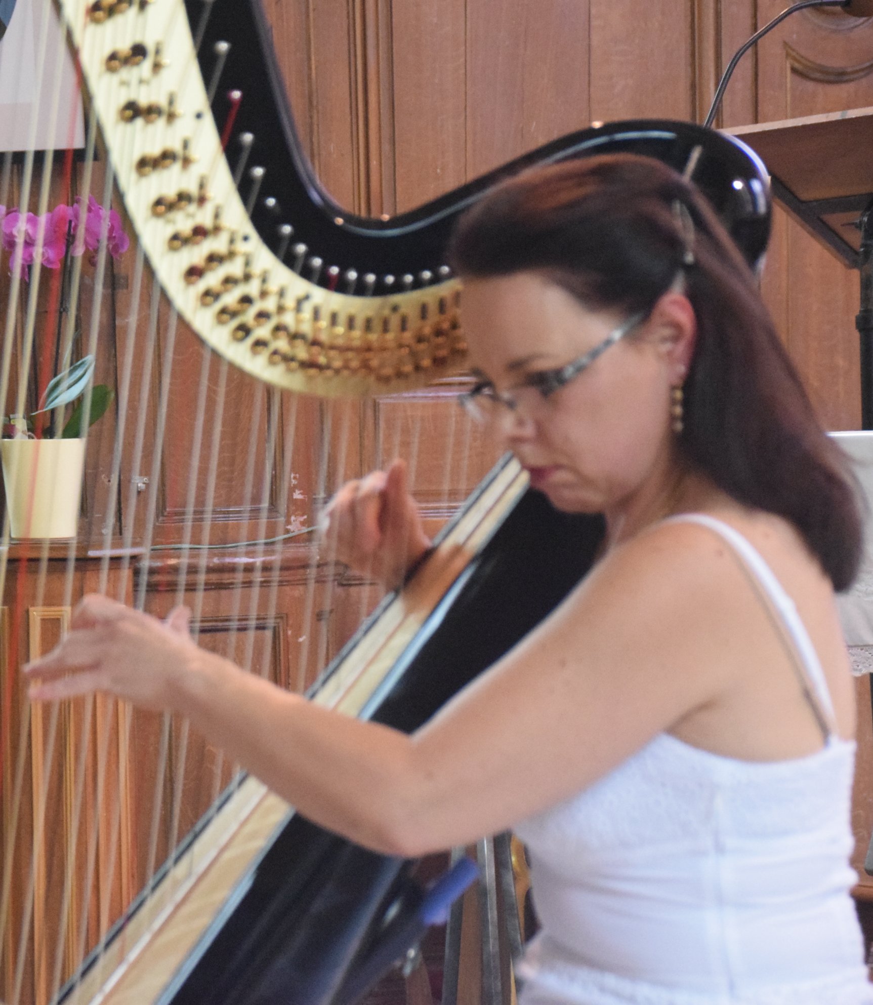 A la harpe : Anne Ricquebourg.