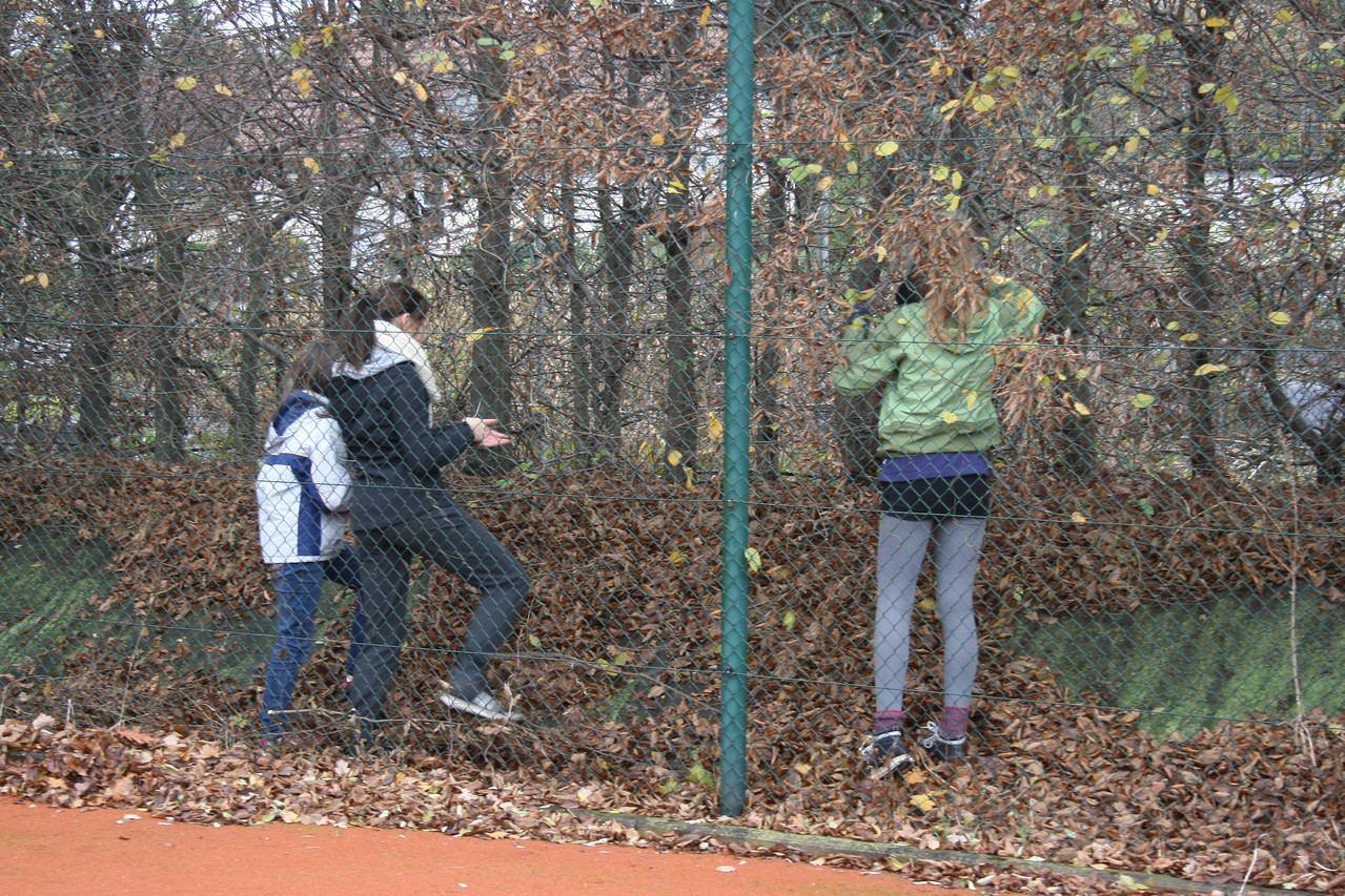 Die Mädchen beim Laub aufsammeln
