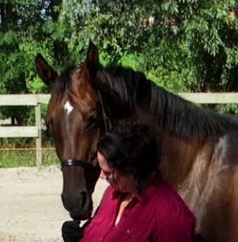 Band met je paard.