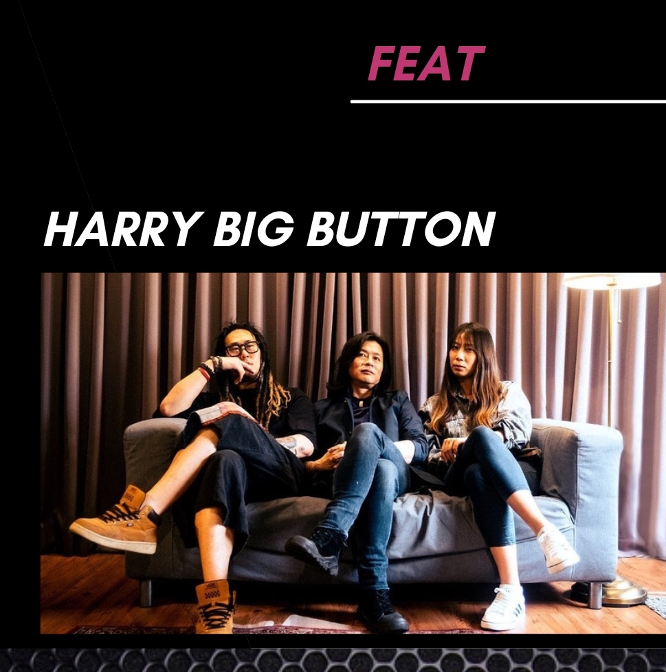 Harry Big Button - Live in Germany