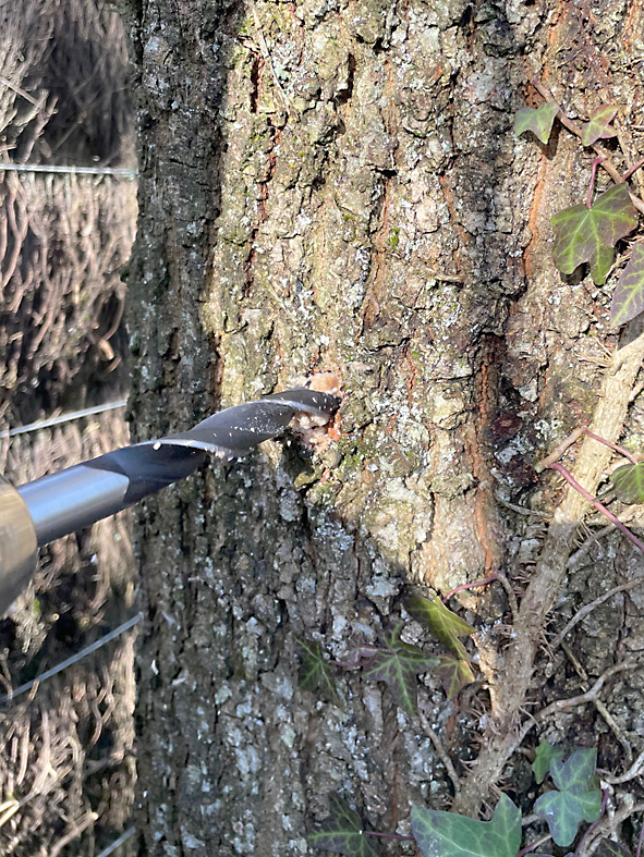 Perçage avec un foret à bois de Ø 15 mm pour une fixation de Ø 16 mm .