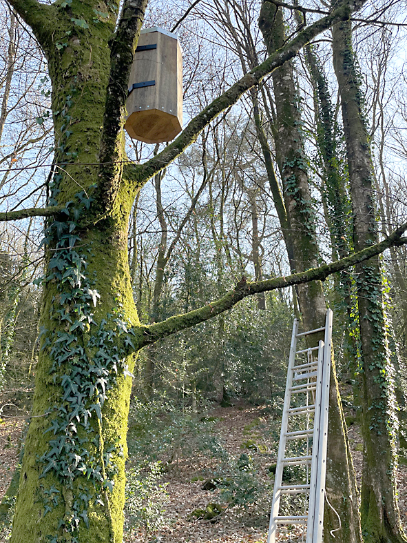 Installation terminée.