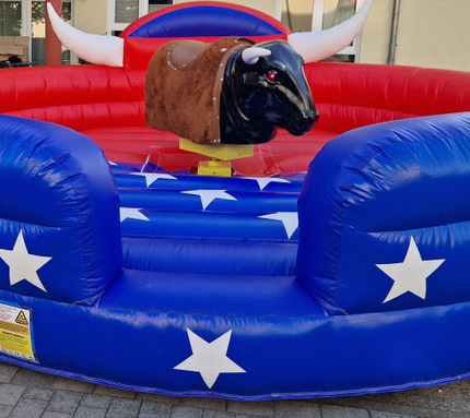 Rodeo Bull Riding
