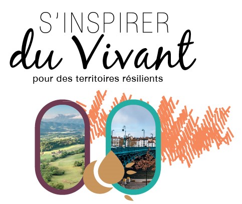 Formation : s'inspirer du vivant pour favoriser résilience, transitions et régénération des territoires