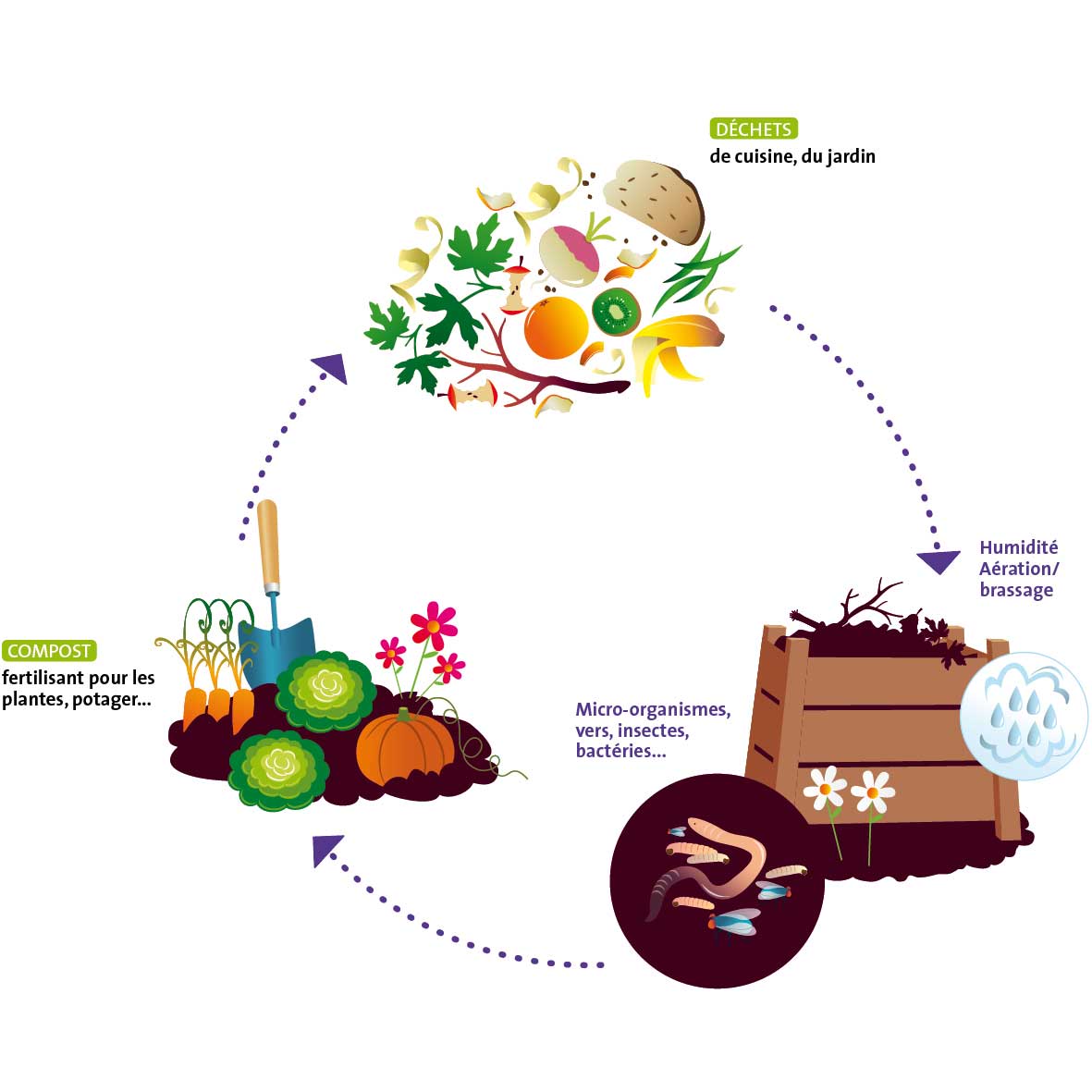 Compost et biodéchets