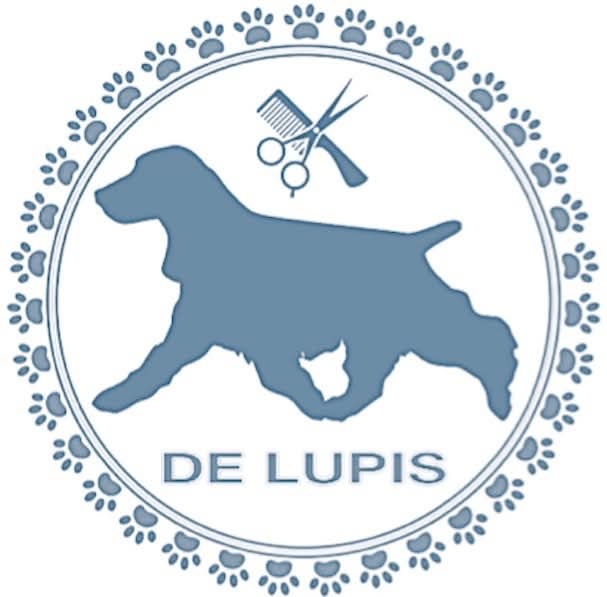 Benvenuti su delupis!