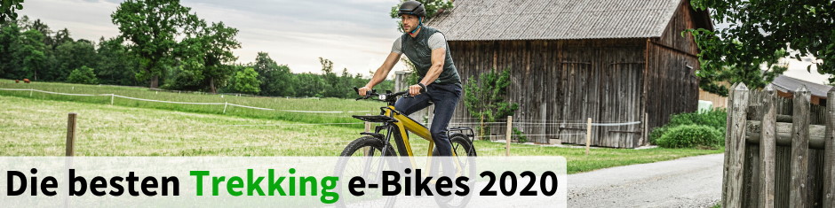 Die besten Trekking e-Bikes 2020