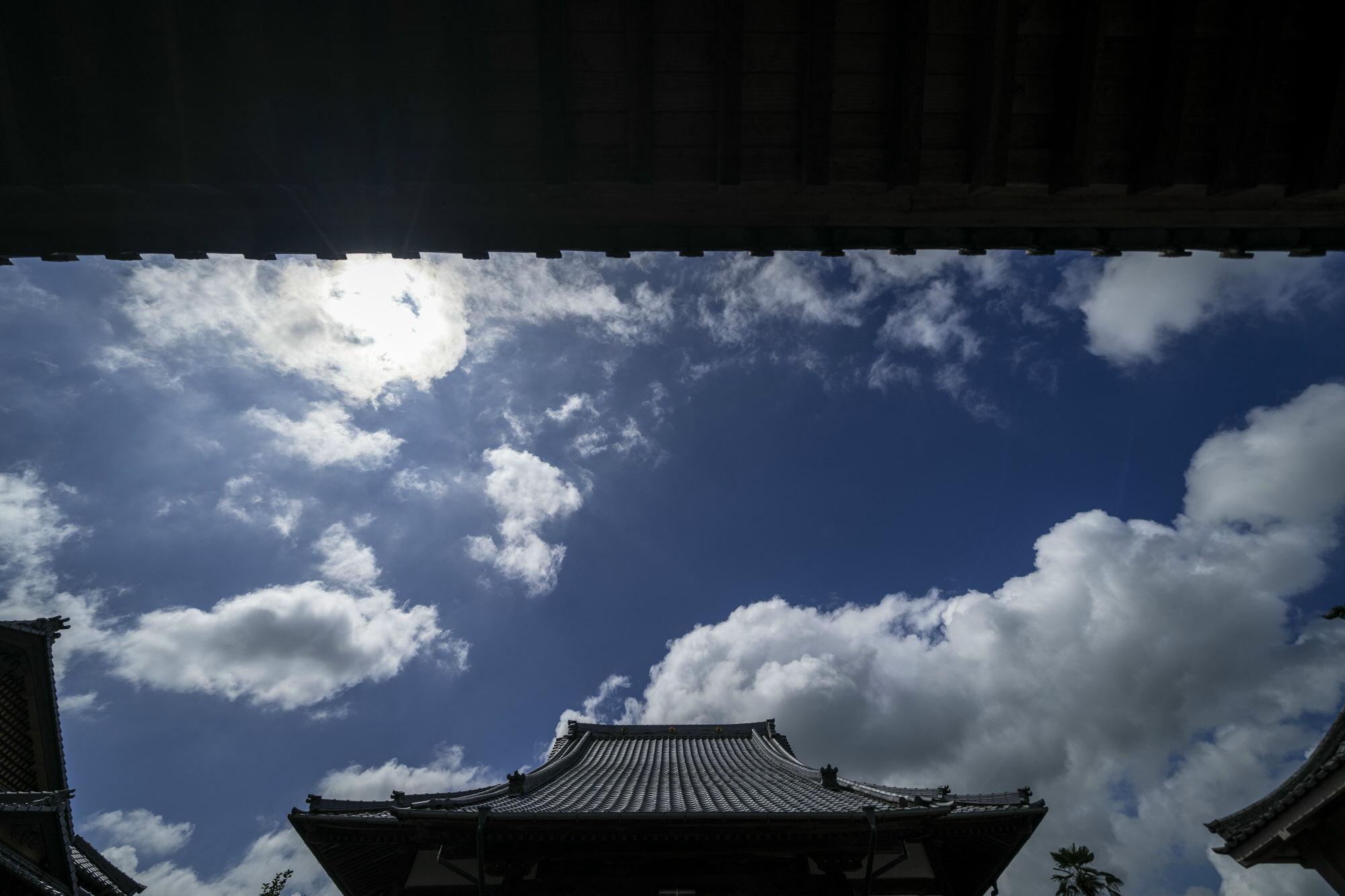 2022年7月以降の行事予定