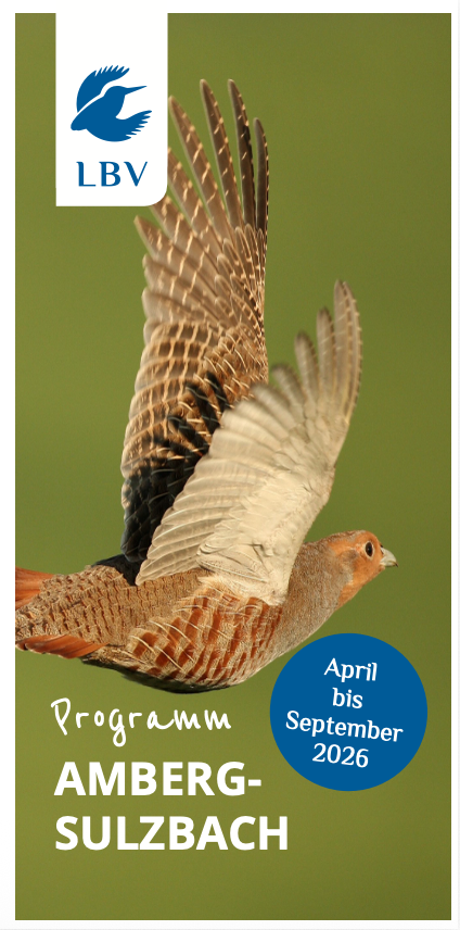Programmheft April-Sept 2026