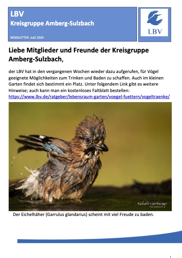Newsletter für Juli 2024