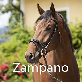 Zampano-B