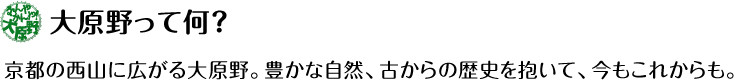 なんやかんや大原野ー京都・西山・大原野観光案内ー