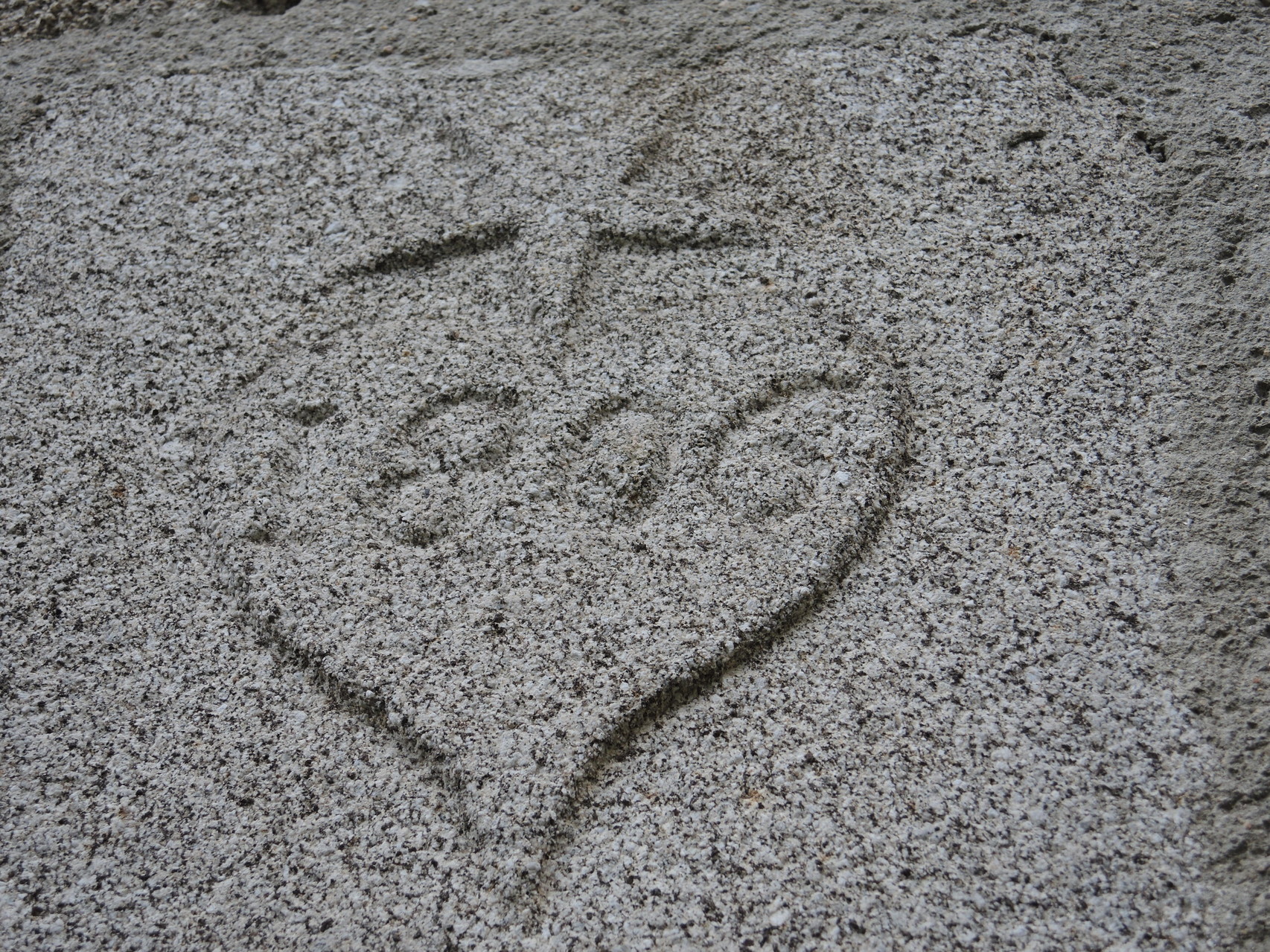 notre coup de coeur