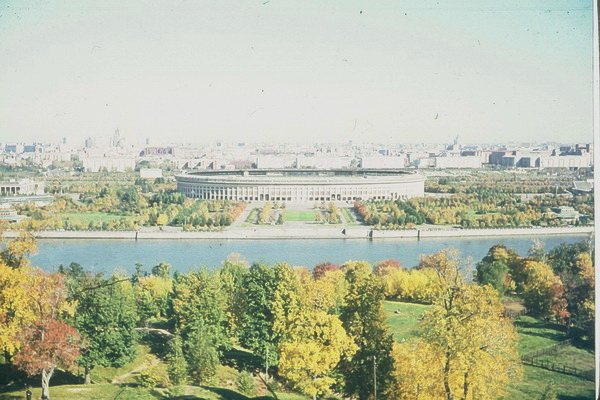 Das Stadion (Lusnicki)