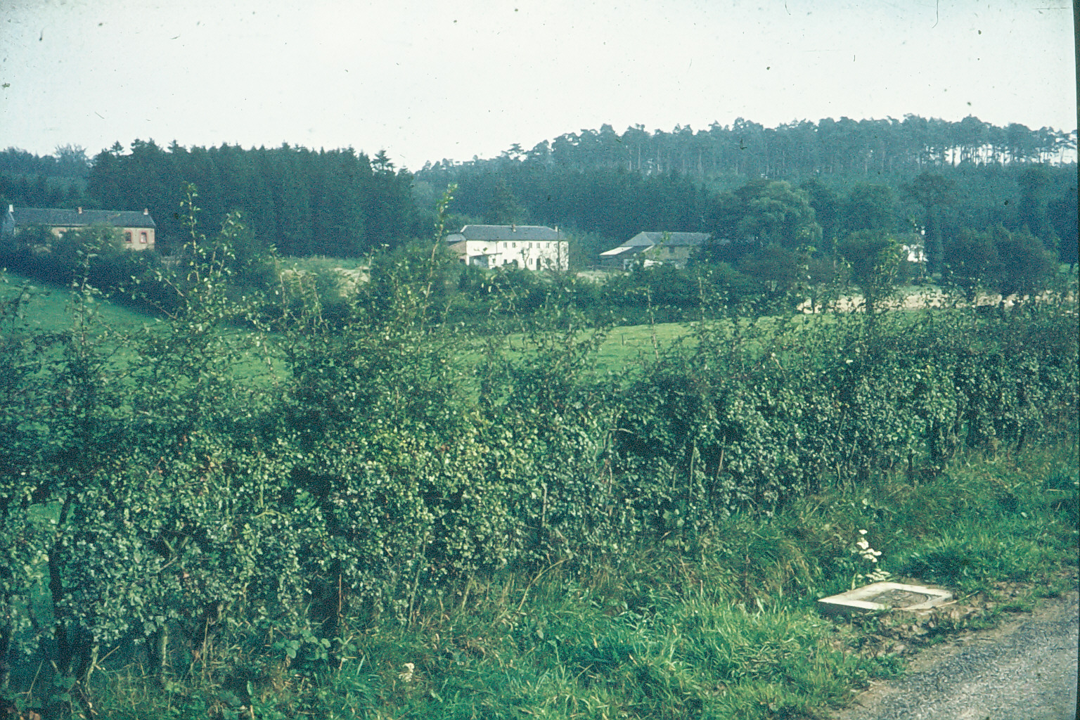 Flögansicht Ende der 60-er Jahre