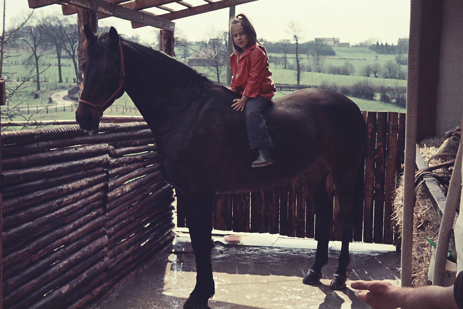 ... am Reitstall 1973