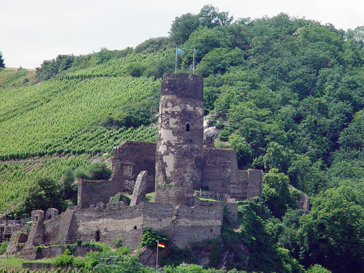 Castle on Rhine River 