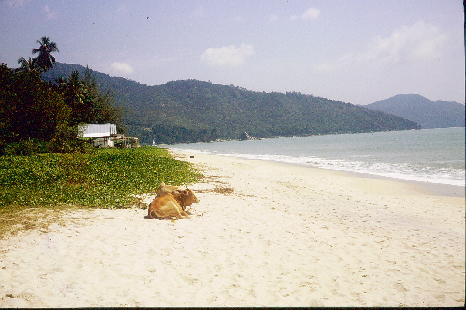 Abstecher zur Insel Penang in Malaysia 1981