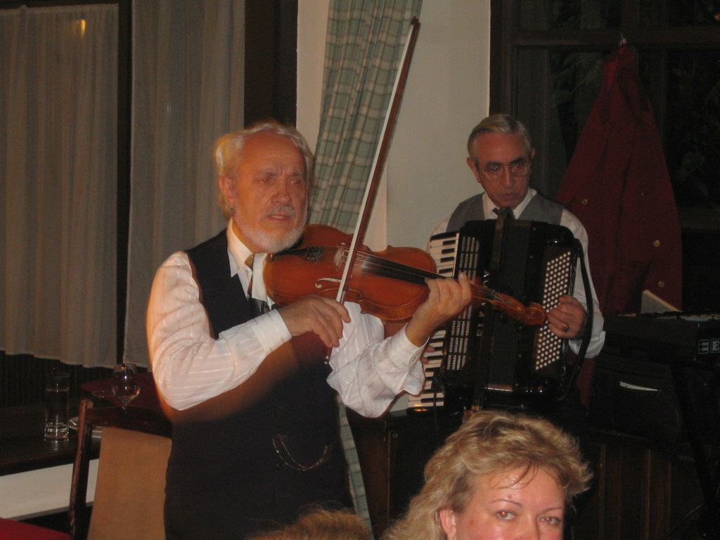 Dinner music in Budapest