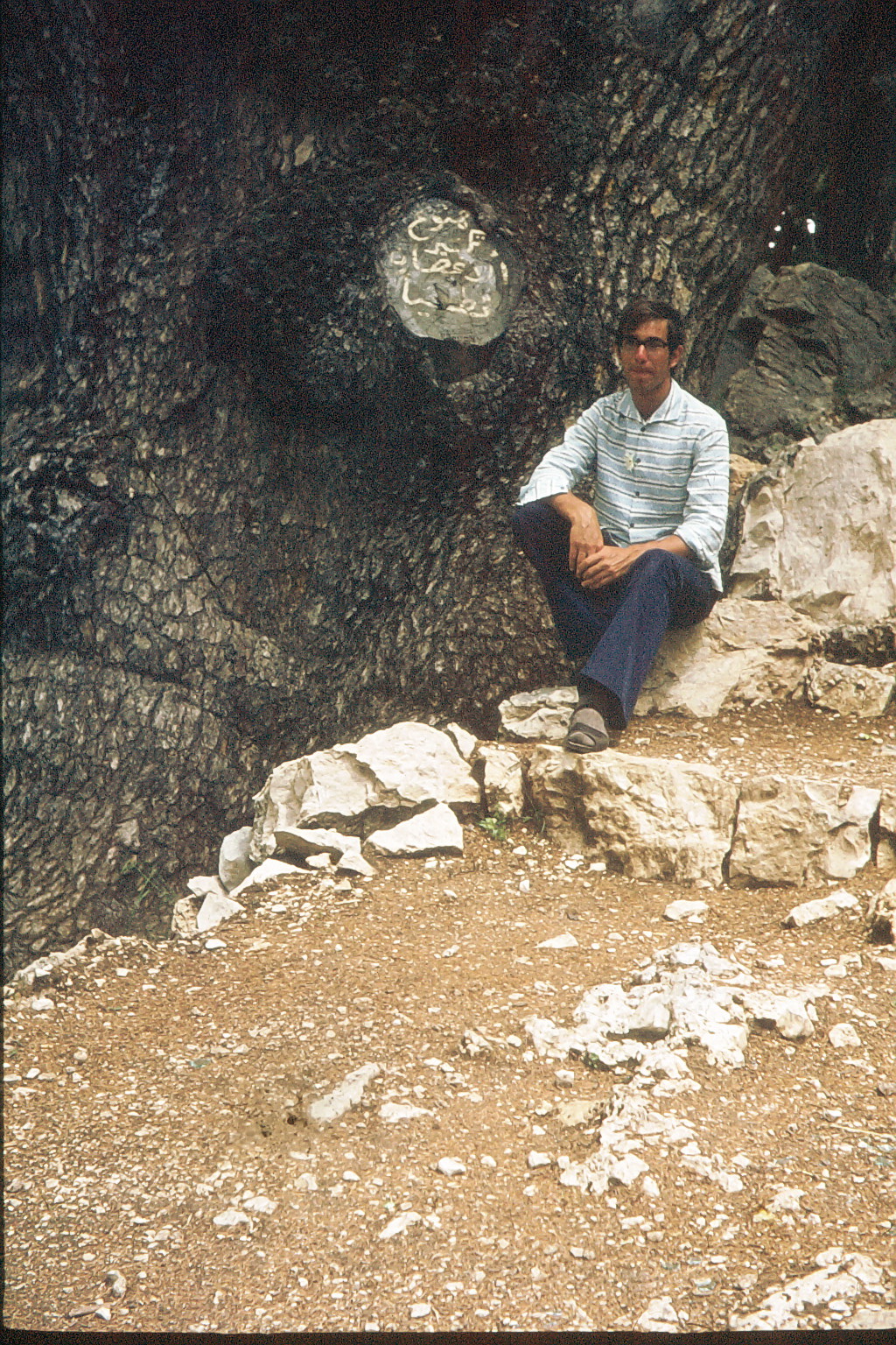 Zedernreserval El Chouf