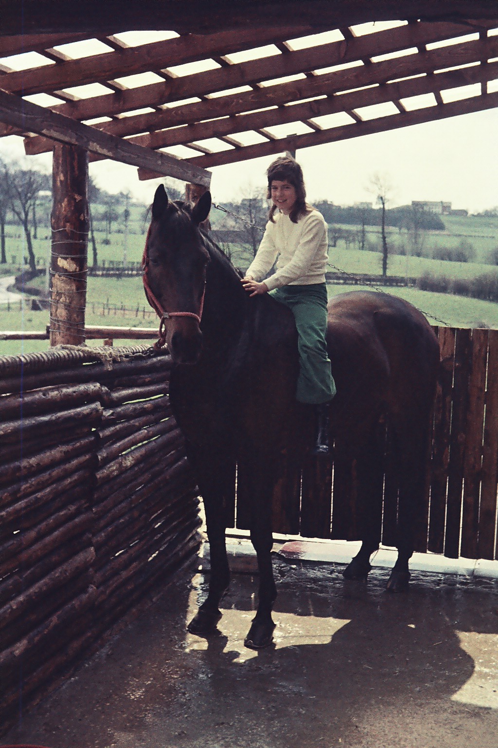 Reitstall nebenan (Jüppchen Bauens)