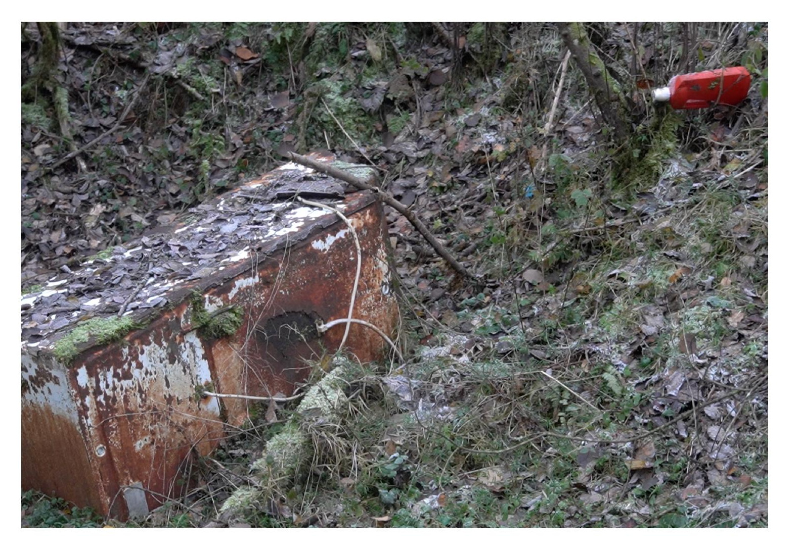 Die Renaturierung des Bingeberg in Hauset