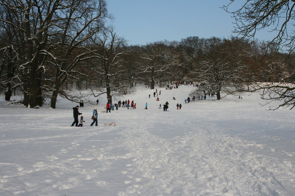 Sobald es Schnee hat, holen wir sofort alle Schlitten raus