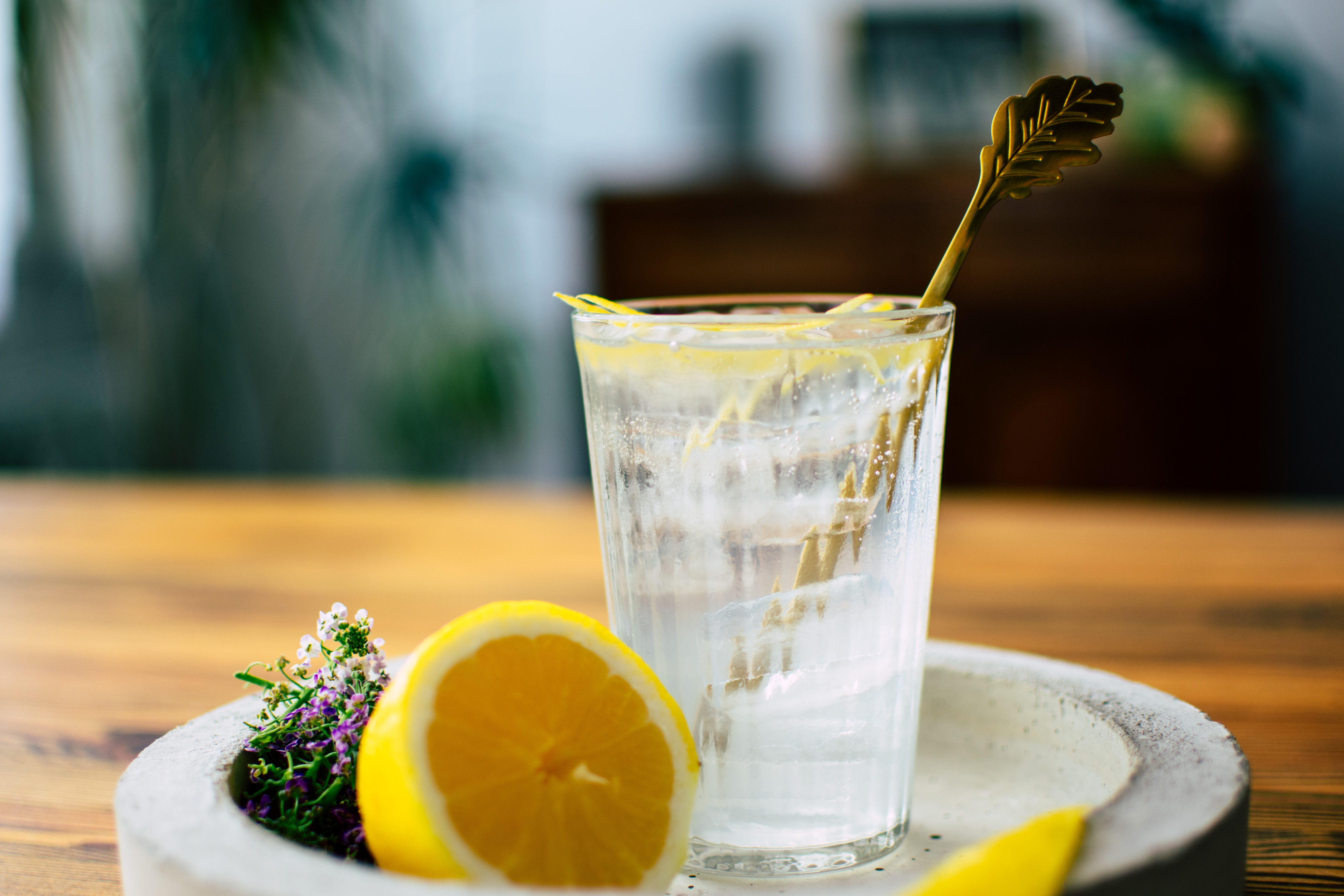 GIN SOUR / GIN FIZZ FREYTAG Liqueurs & Spirits