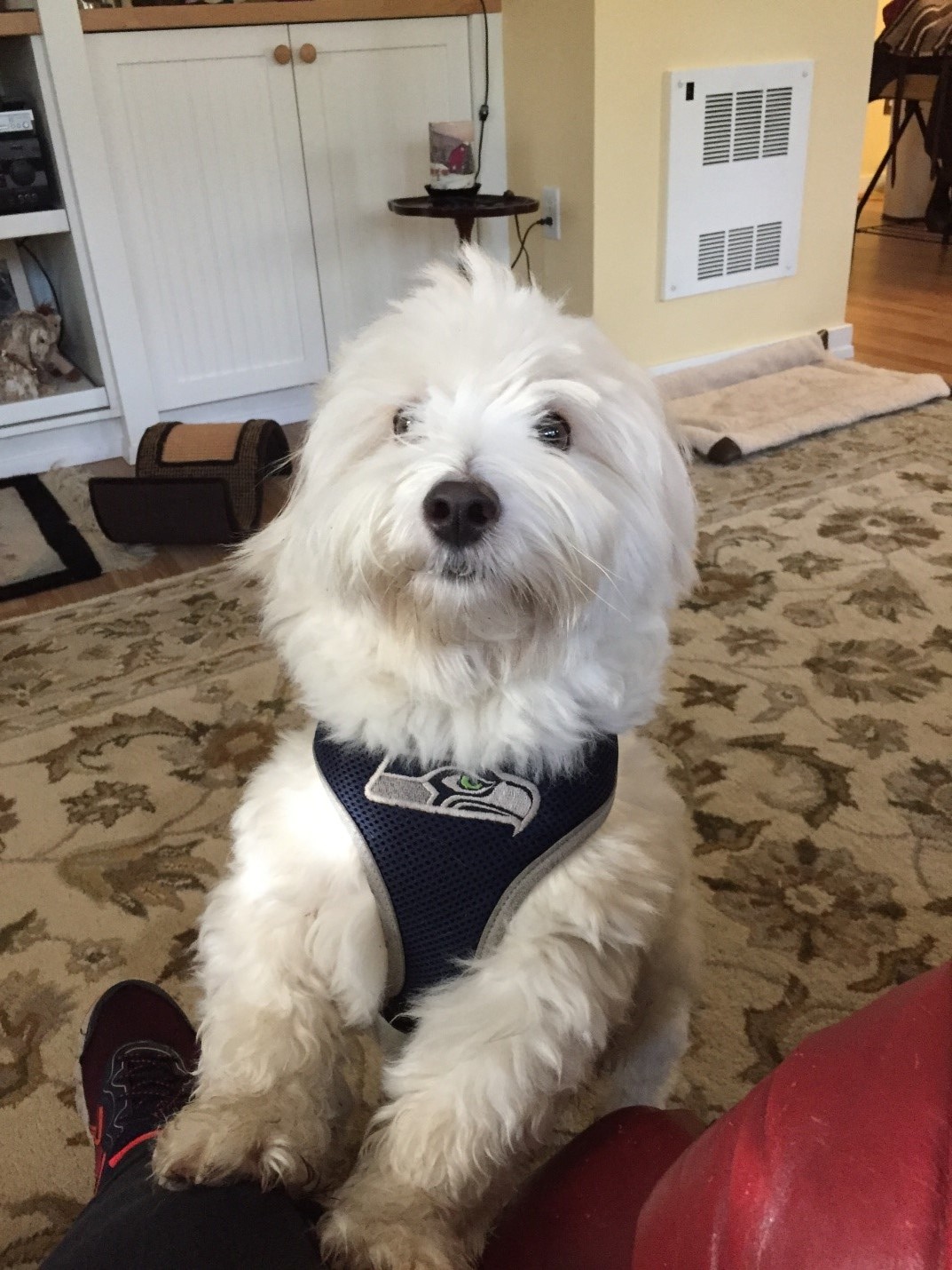 Blue Friday!