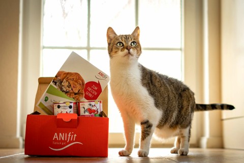 Anifit Katzenfutter Schnupperpaket mit hochwertigem Nassfutter und bis zu 99 % Fleischanteil – ideal für eine artgerechte Fütterung.