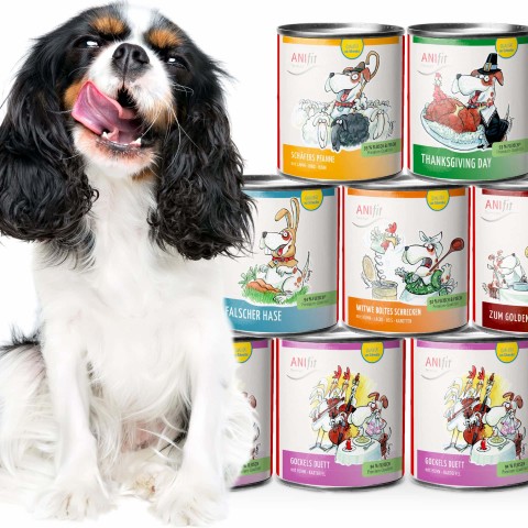 Schnupperpaket Hundefutter von ANIfit – Nassfutter in Lebensmittelqualität mit hohem Fleischanteil