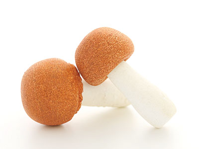 Hier siehst Du den Agaricus Pilz. Agaricus wird gerne mit dem Reishi kombiniert und bei Allergien, Immun Dysbalance und Hauterkrankungen eingesetzt. Agaricus Pulver Extrakt Kapseln tragen zu einer natürlichen Ernährung bei. 