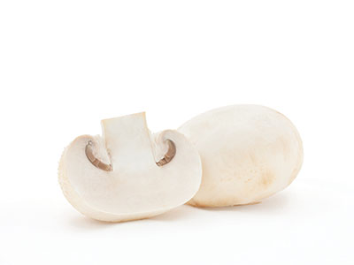 Hier siehst Du den Champignon. Champignon ist ein wichtiger Bestandteil der Mykotherapie & bietet zahlreiche gesundheitliche Vorteile für Hunde, Katzen & Pferde. Champignon Extrakt Kapseln tragen zu einer gesunden Ernährung für Mensch & Tier bei.