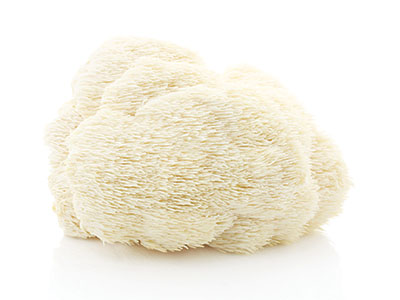 Hier siehst Du den Hericium Pilz. Hericium kommt zur Anwendung bei Darmflorastörungen, Hauterkrankungen, Nervenerkrankungen mit Angst- und Unruhezuständen. Hericium Extrakt Pulver Kapseln unterstützen eine natürliche Ernährung bei Mensch und Tier.