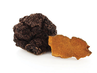 Hier siehst Du den Chaga Vitalpilz. Chaga wird gerne mit dem Hericium kombiniert und bei Erkrankungen des Verdauungstraktes eingesetzt. Chaga Extrakt Pulver Kapseln können die Wundheilung unterstützen und finden Anwendung bei reduzierter Abwehrkraft.