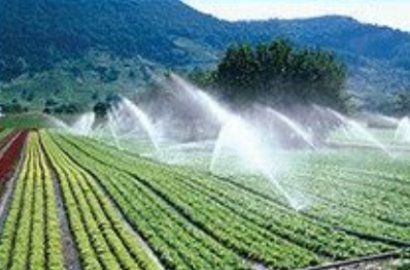 Desinfektion und Sterilisierung von landwirtschaftlichem Wasser mit UVC-Licht, BBM Ledproducts