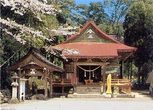 紫尾神社の拝殿の下から湧く